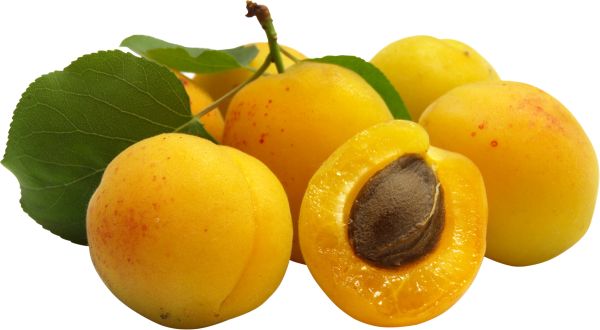 黄色杏子 PNG免抠图透明素材 素材