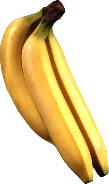 香蕉PNG图片，香蕉图片下载 图片编号:815
