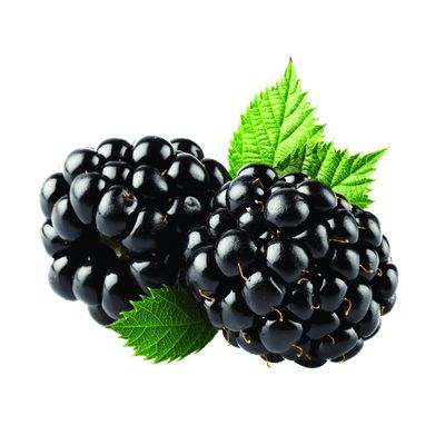 黑莓 PNG免抠图透明素材 素材中国编号:26560