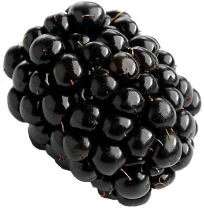 黑莓 PNG透明背景免抠图元素 素材中国编号:26584