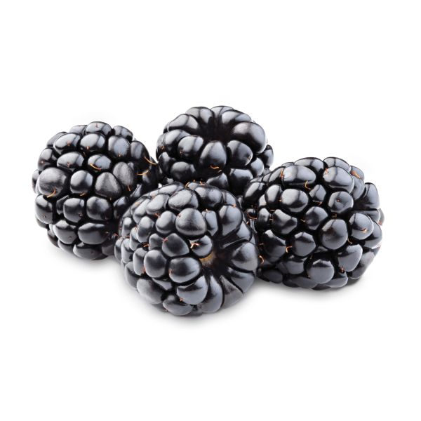 黑莓 PNG免抠图透明素材 素材天下编号:26593