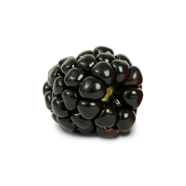 黑莓 PNG透明背景免抠图元素 16图库网编号:26594