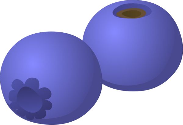 蓝莓 PNG免抠图透明素材 16设计网编号:26686