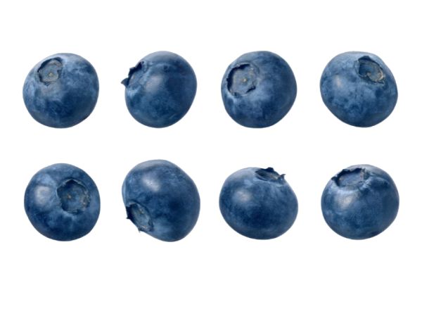 蓝莓 PNG透明背景免抠图元素 16图库网编号:26687