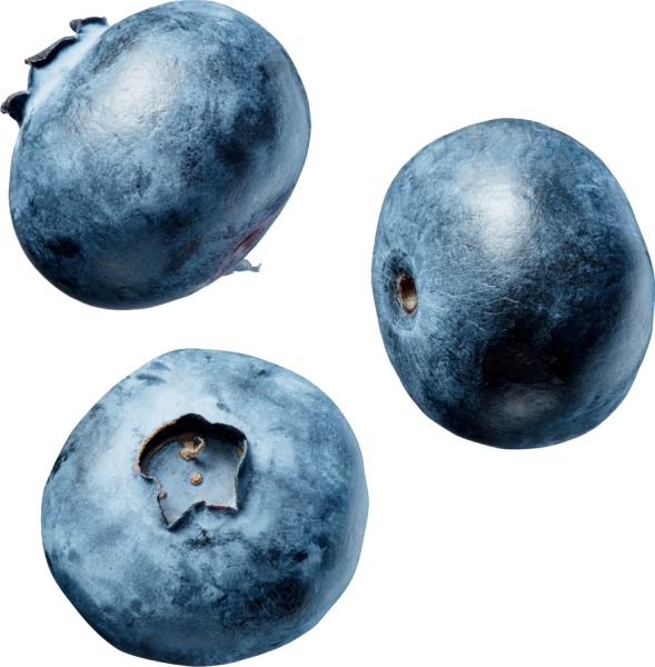 蓝莓 PNG透明背景免抠图元素 素材中国编号:26689