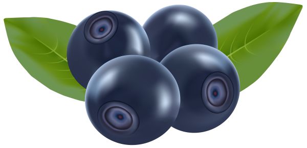 蓝莓 PNG免抠图透明素材 16设计网编号:26700