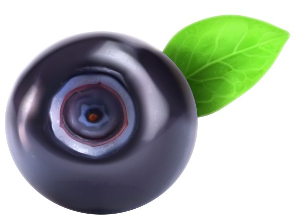 蓝莓 PNG透明背景免抠图元素 16图库网编号:26703
