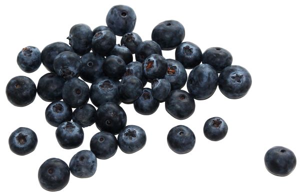 蓝莓 PNG免抠图透明素材 素材天下编号:26707