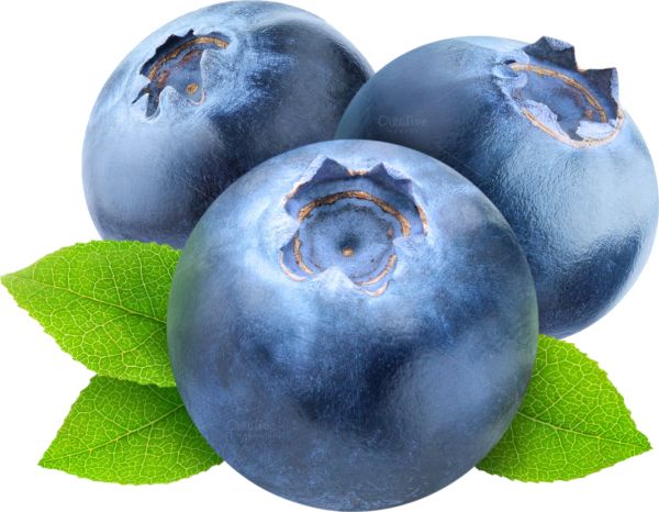 蓝莓 PNG透明背景免抠图元素 素材中国编号:26708