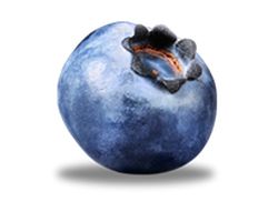 蓝莓 PNG透明背景免抠图元素 16图库网编号:26742