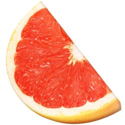 葡萄柚 PNG透明背景免抠图元素 素