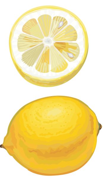 柠檬 PNG免抠图透明素材 素材中国编号:25183