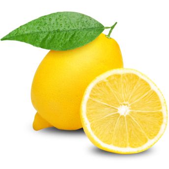 柠檬 PNG透明背景免抠图元素 16图库网编号:25195