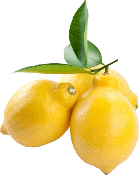 柠檬 PNG透明背景免抠图元素 16图库网编号:25273