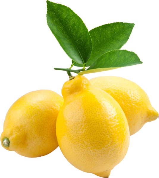 柠檬 PNG透明背景免抠图元素 16图库网编号:25274
