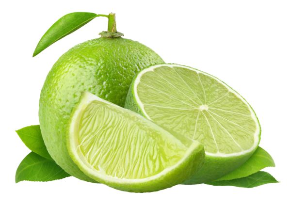 Lime PNG免抠图透明素材 素材天下编号:25224