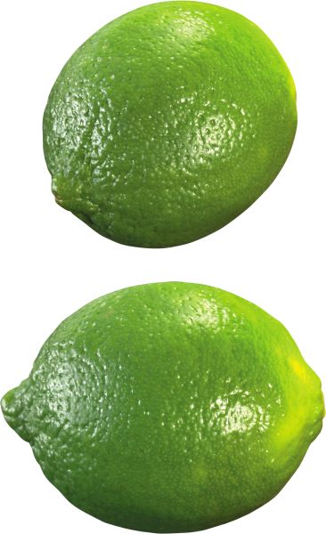 Lime PNG透明背景免抠图元素 素材中国编号:25249