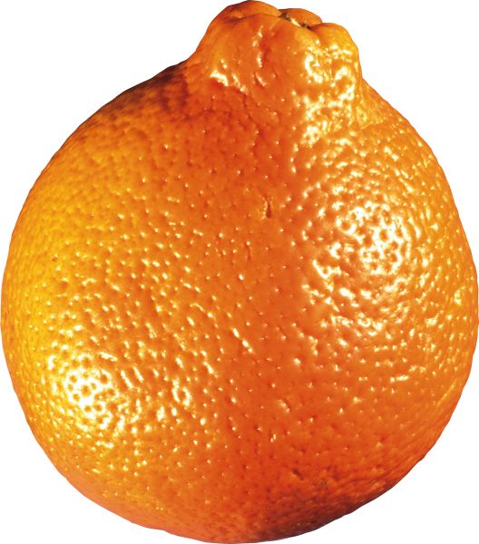 柑橘 PNG透明背景免抠图元素 16图库网编号:44899