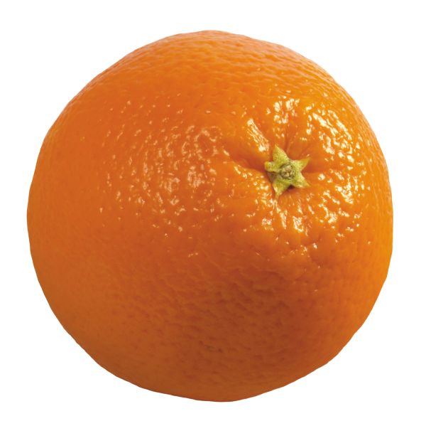 柑橘 PNG免抠图透明素材 16设计网编号:44901