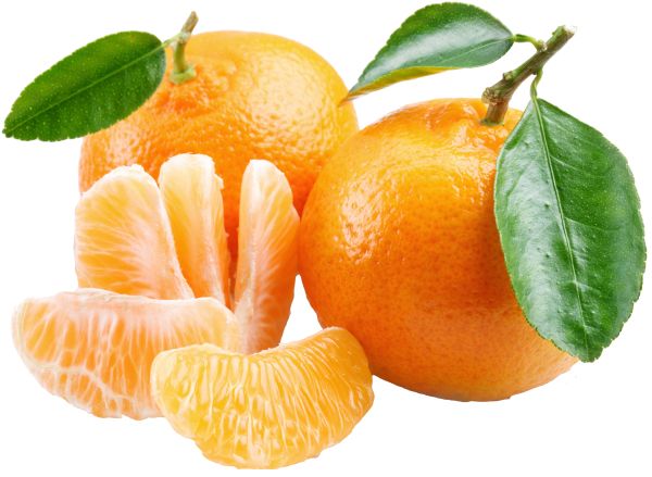 柑橘 PNG免抠图透明素材 16设计网编号:44903