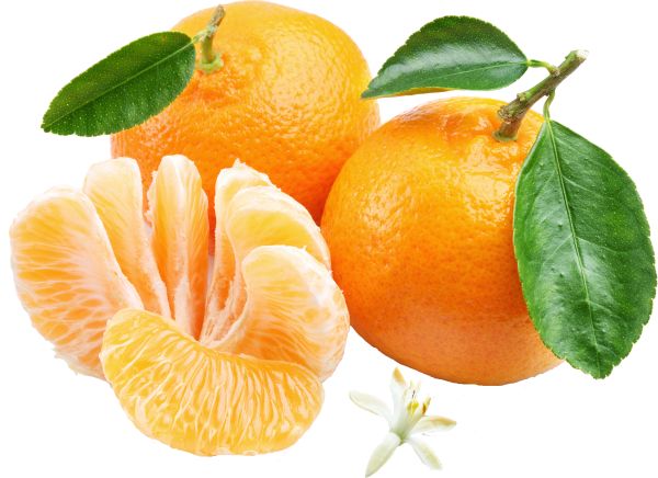 柑橘 PNG透明背景免抠图元素 16图库网编号:44904