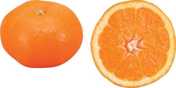 柑橘 PNG免抠图透明素材 16设计网编号:44891