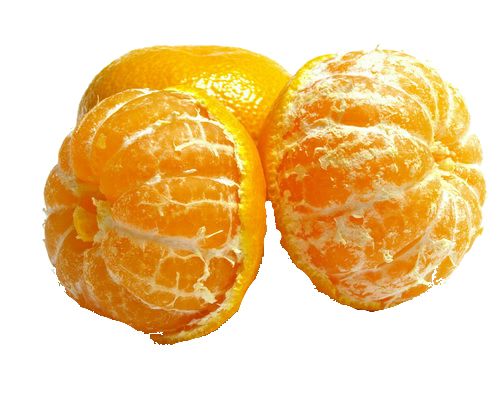 柑橘 PNG免抠图透明素材 素材天下编号:44910