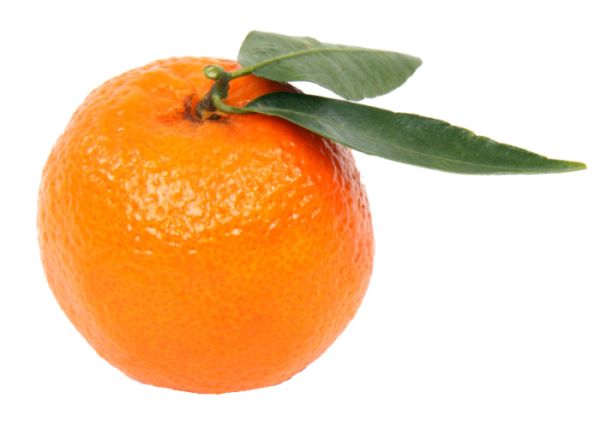 柑橘 PNG透明背景免抠图元素 16图库网编号:44911