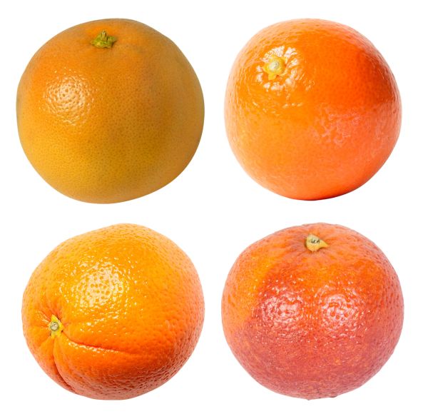柑橘 PNG透明背景免抠图元素 16图库网编号:44913