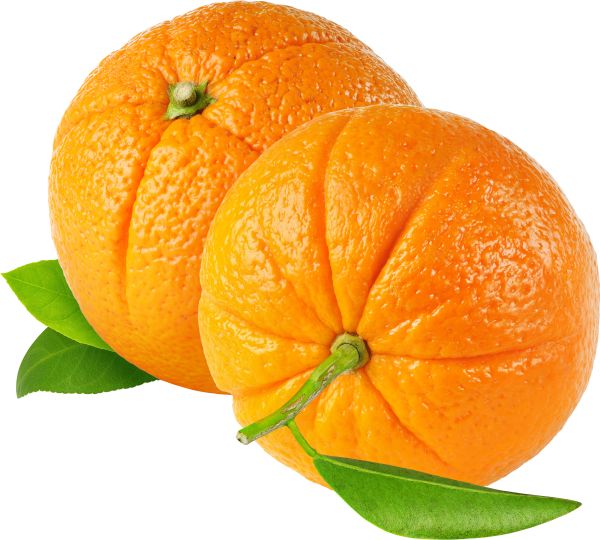柑橘 PNG免抠图透明素材 16设计网编号:44916