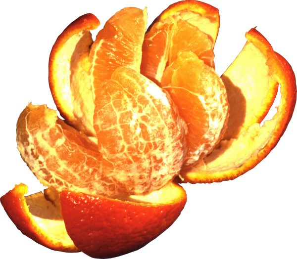 柑橘 PNG透明背景免抠图元素 16图库网编号:44919