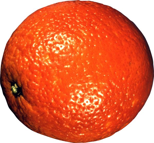 柑橘 PNG透明背景免抠图元素 素材中国编号:44920