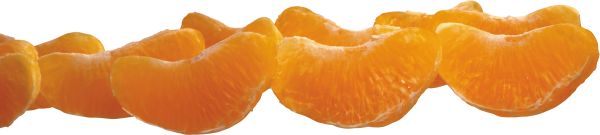 柑橘 PNG免抠图透明素材 16设计网编号:44921