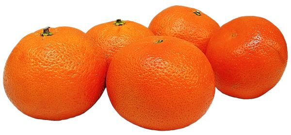 柑橘 PNG透明背景免抠图元素 16图库网编号:44927