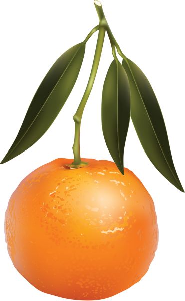 柑橘 PNG免抠图透明素材 16设计网编号:44893