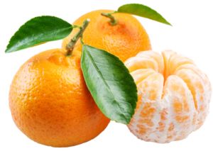 柑橘 PNG免抠图透明素材 16设计网编号:44932