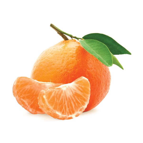 柑橘 PNG免抠图透明素材 普贤居素材编号:44934