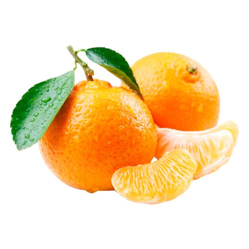 柑橘 PNG透明背景免抠图元素 素材中国编号:44937