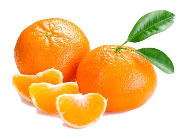 柑橘 PNG免抠图透明素材 16设计网编号:44938