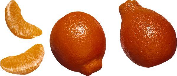 柑橘 PNG免抠图透明素材 16设计网编号:44894
