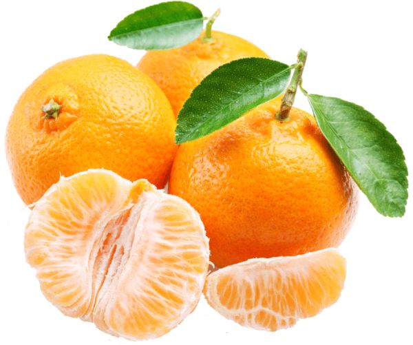 柑橘 PNG免抠图透明素材 16设计网编号:44939