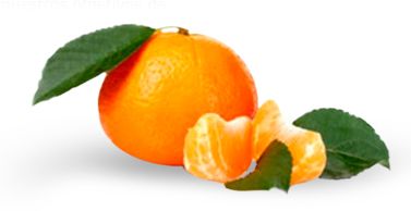 柑橘 PNG透明背景免抠图元素 素材中国编号:44941