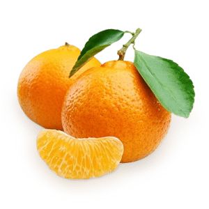 柑橘 PNG免抠图透明素材 素材天下