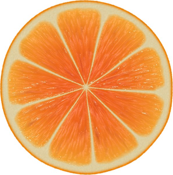 橙子PNG免抠图透明素材 16设计网编号:748