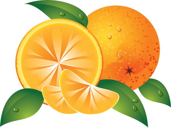 橙子画PNG透明背景免抠图元素 16图