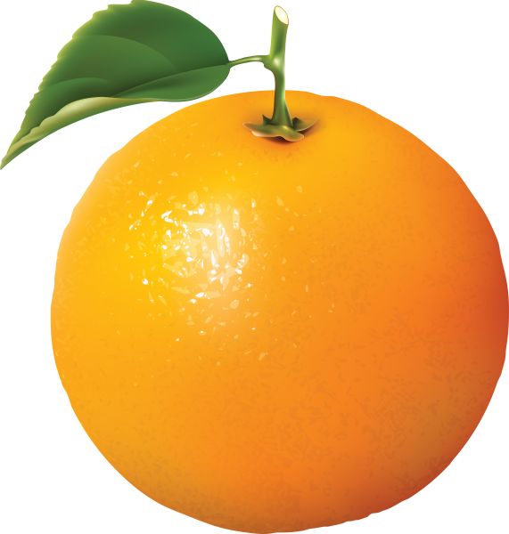 成熟的橙子 PNG免抠图透明素材 素材中国编号:766