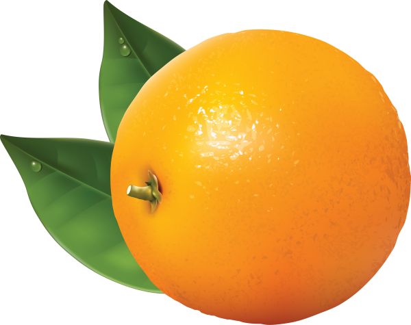 带有格力树叶的橙色PNG免抠图透明素材 素材中国编号:774