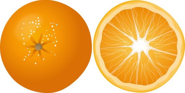 橙色PNG免抠图透明素材 16设计网编号:782