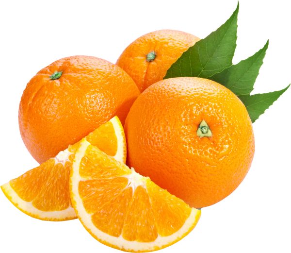 透明背景橙子PNG免抠图透明素材 16