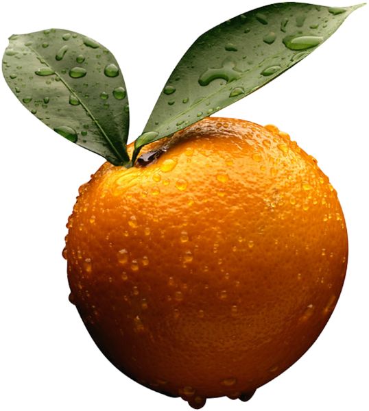 橙色照片PNG免抠图透明素材 普贤居素材编号:796